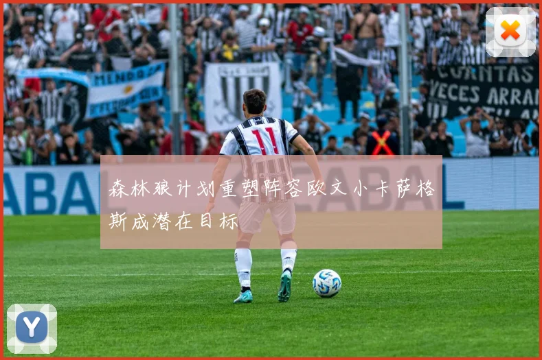 森林狼计划重塑阵容欧文小卡萨格斯成潜在目标