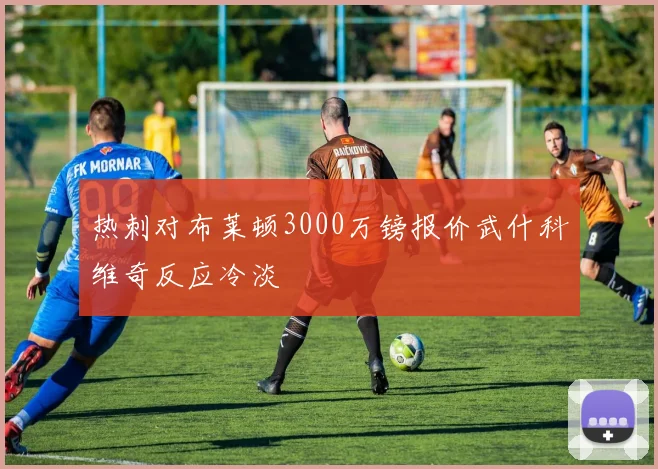 热刺对布莱顿3000万镑报价武什科维奇反应冷淡